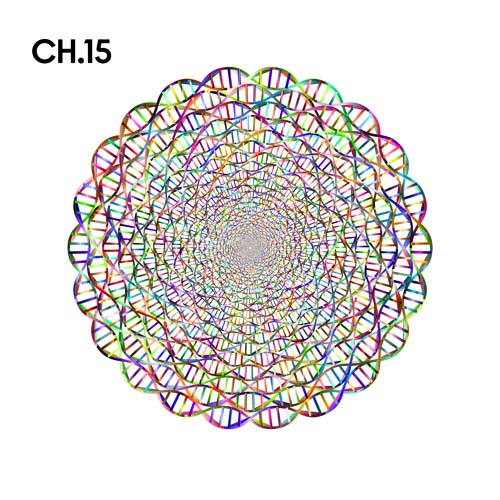 ZAKÁZANÝ PRVEK Chemie_motiv15.jpg